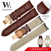 Золотая пряжка коричневой розы