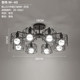 Nordic Creative Living Room Ceiling Lamp Modern Simple Personalized Lighting Bedroom Study Children's Room Iron Spider Lamp
