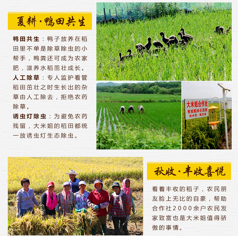 Akada Komachi_12.jpg