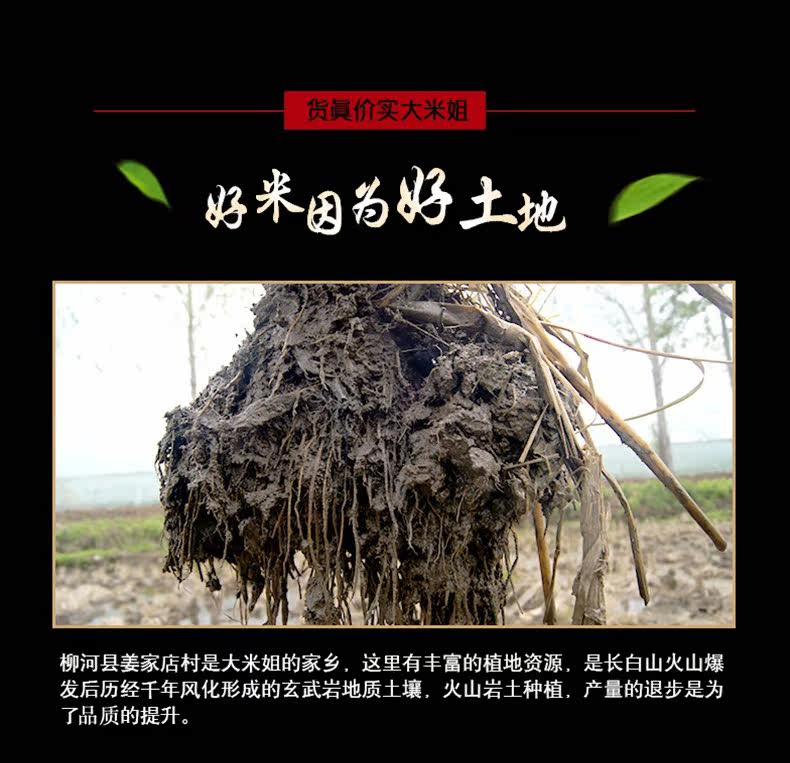 Black Rice_03.jpg