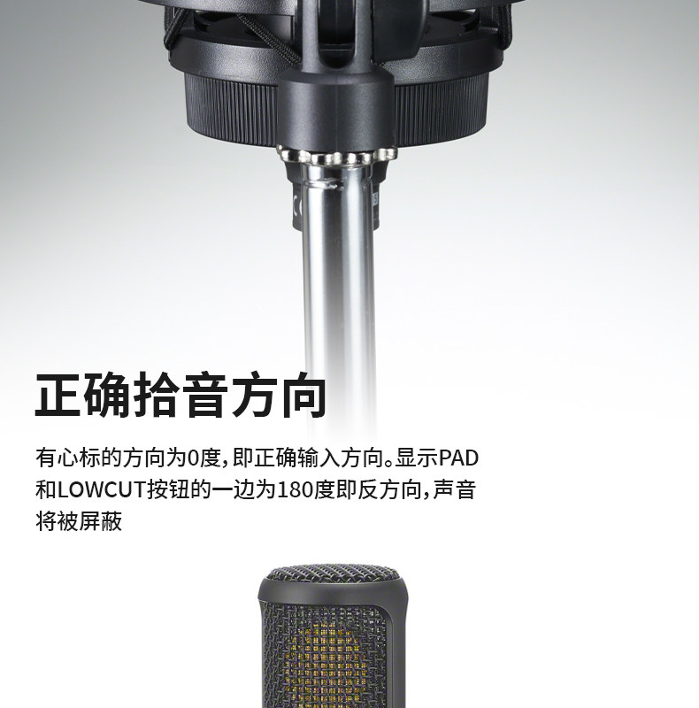 Sony/索尼 C-80 C-100电容麦克风 主播K歌游戏有声书ASMR录音话筒