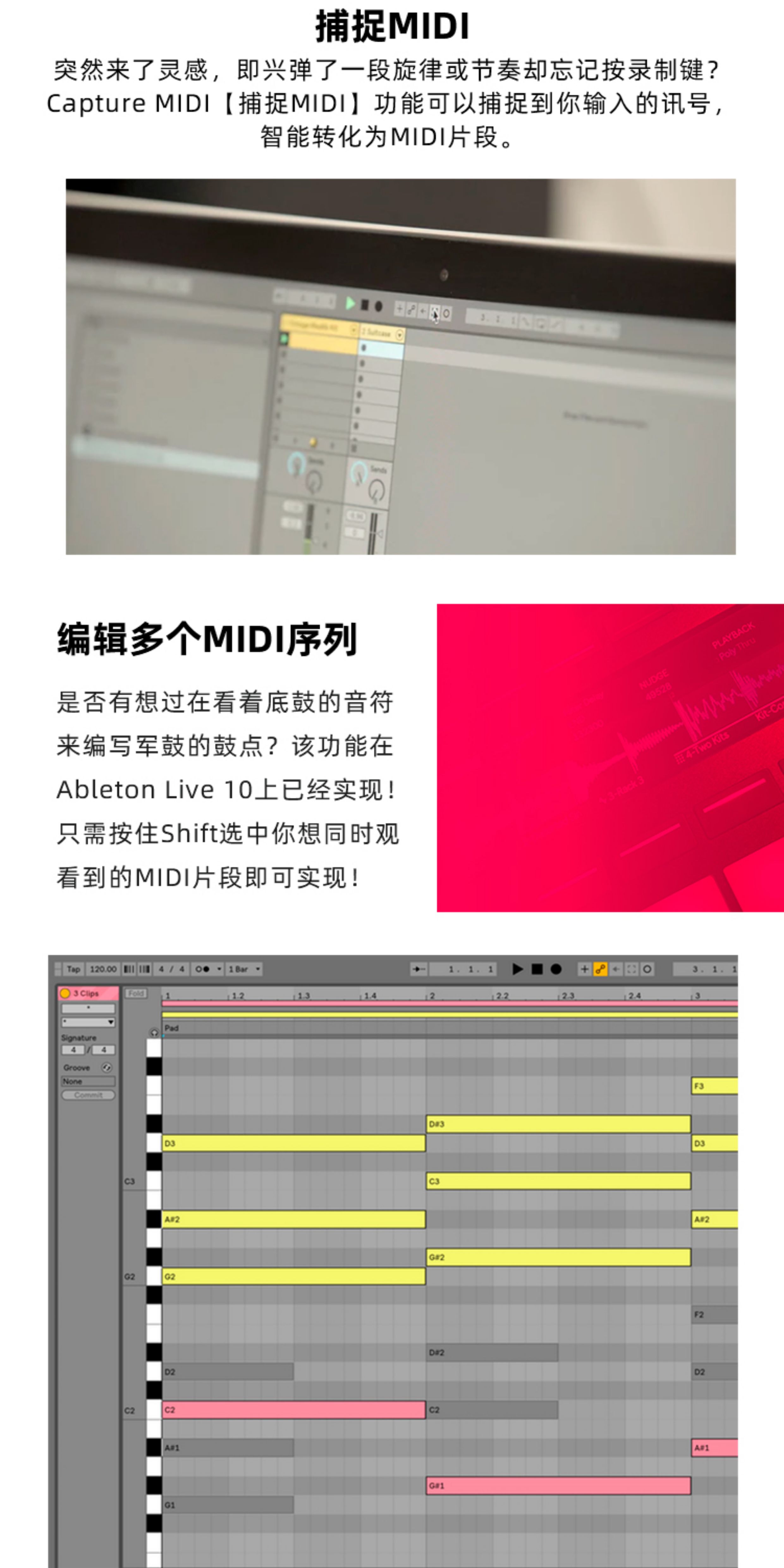 Ableton Live 12 Suite完整版现场宿主混音录音编曲软件官方正版