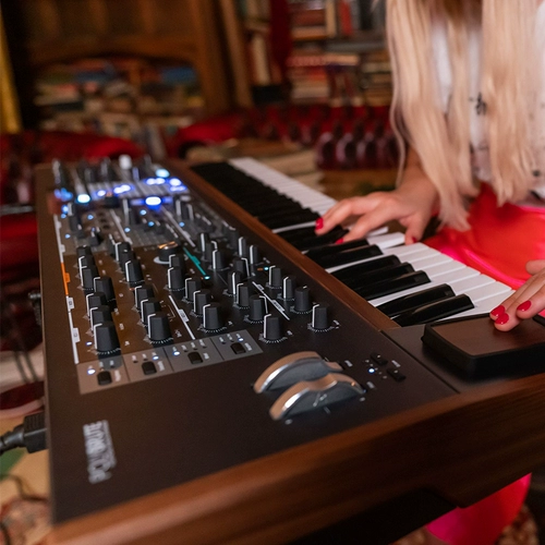 Государственный банк Spot Arturia Polybrute 6 Victor Simulation Simulation Symulation Touch Synthery Матрица градиента