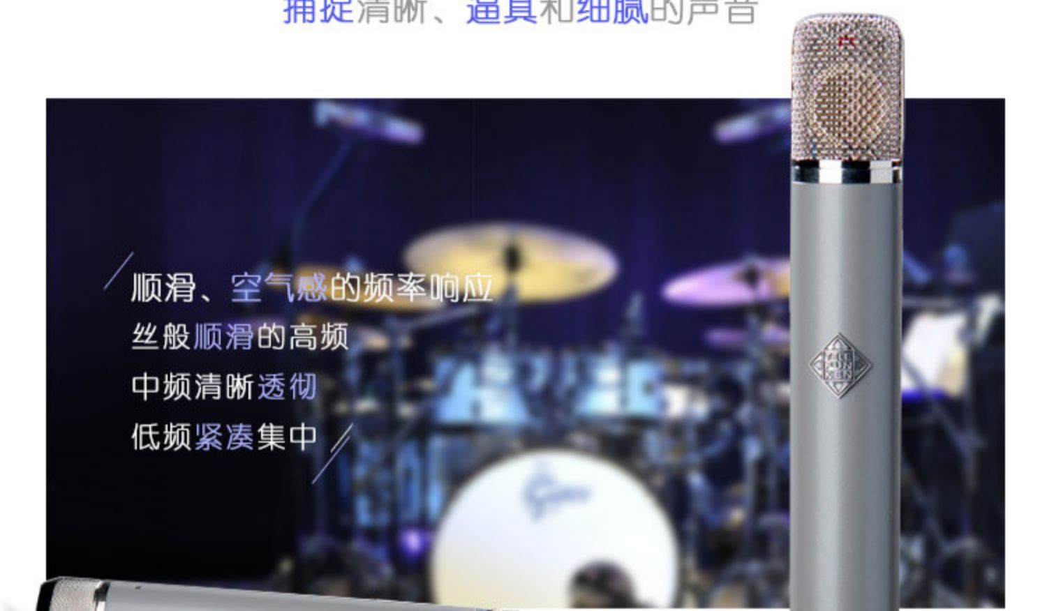 TELEFUNKEN/德律风根 C12 多指向 专业录音棚人声 电子管话筒