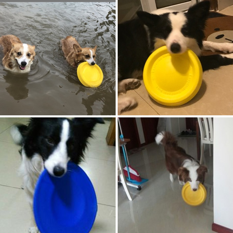 Star Kee Flying Disc Dog Flying Disc Flying Disc Large Dog Dog Flying Disc Border Shepherd Dog Golden Hair Toy Training Guide Resistant to Bite Flying Disc