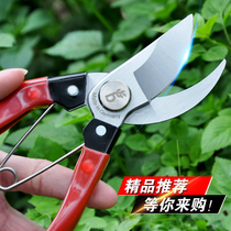 German German Shibao imported fruit tree pruning shears tree branch scissors gardening flower and wood scissors garden scissors