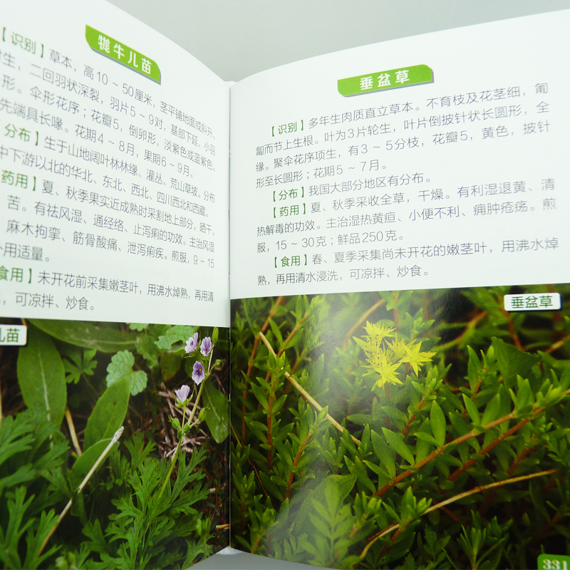 包郵現貨500種野菜野外識別速查圖鑑植物識別特徵參考野生蔬菜鑑別教程野菜栽培種植技術大全野菜品種識別方法技巧中國的野菜 包郵現貨500種野菜野外識別速查圖鑑植物識別特徵參考野生蔬菜鑑別教程野菜栽培種植技術大全野菜品種識別方法技巧中國的野菜