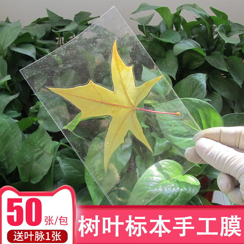 Leaf specimen cold lamination film 6 inch A4A6 handmade photo paper photo plant bookmark material for direct pasting