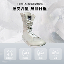 HBW boxing shoes professional sports shoes for stadium training Muay Thai fighting and fitness wrestling professional shoes