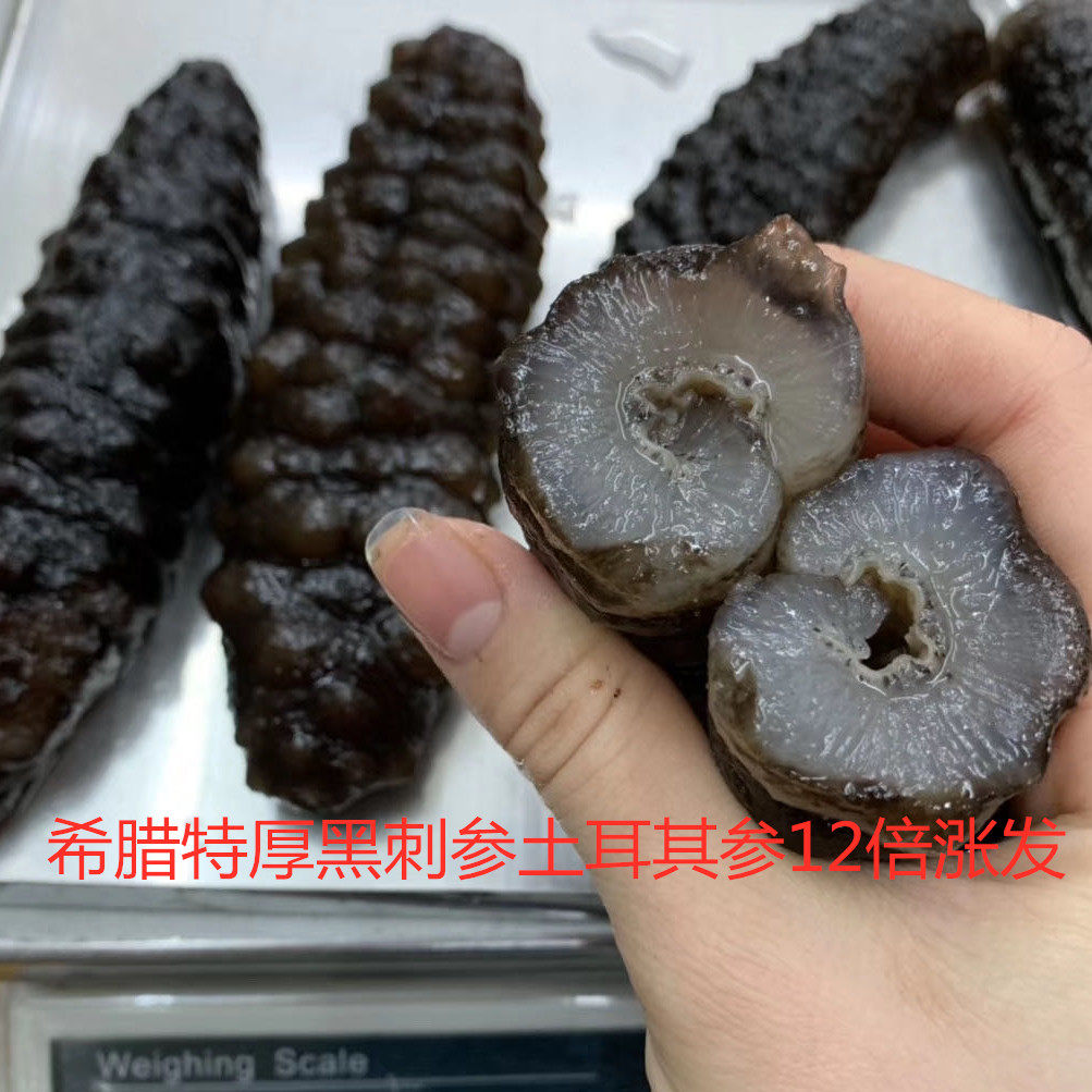 トルコ産ナマコ、ギリシャ産クロトゲナマコ、アイスランド産イネトゲナマコ、1斤（500g）あたり約60頭、純粋軽乾燥ナマコ、500g。