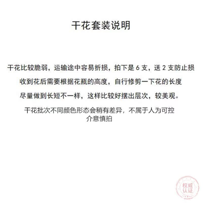 ins wind violet small shore chrysanthemum dried bouquet ceramic vase set bedroom living room tabletop home decoration ornaments