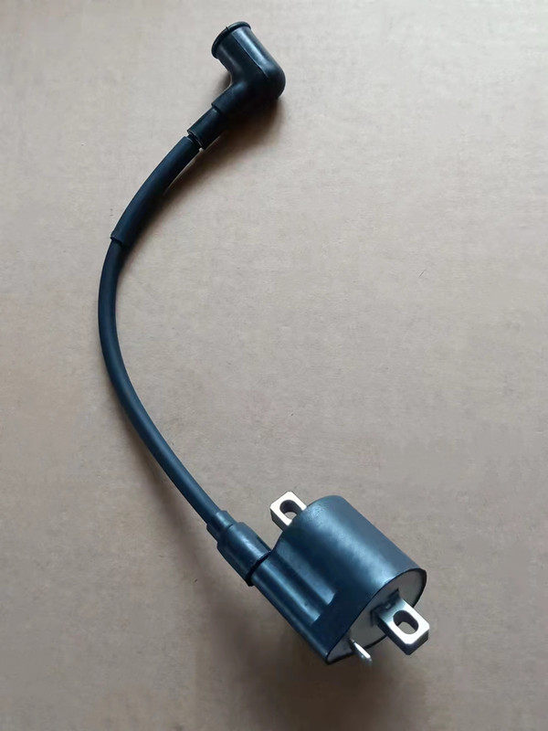 Bagwon 2 Punch 6 5 Horsepower Water Cooling Ship Motor Motor Marine Engine High Pressure Pack Components Original Fitting Accessories