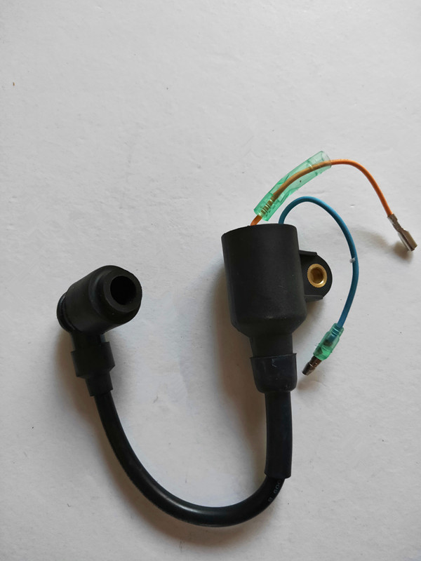 Hundred Wins 2 rushing 4 8 3 5 horsepower boat motor boat motor boat wall-mounted cold air marine engine high-pressure bag accessories