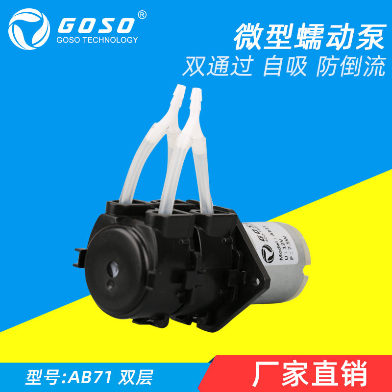 Pump Corrosion-resistant large flow automatic circulation pump Miniature pump double-headed peristaltic pump 12v 24