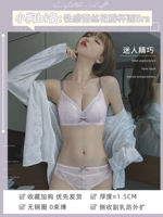 Циньянский фиолетовый