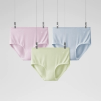 [Высокая талия] Синий туман + Светло-зеленая груша + Ледяная орхидея