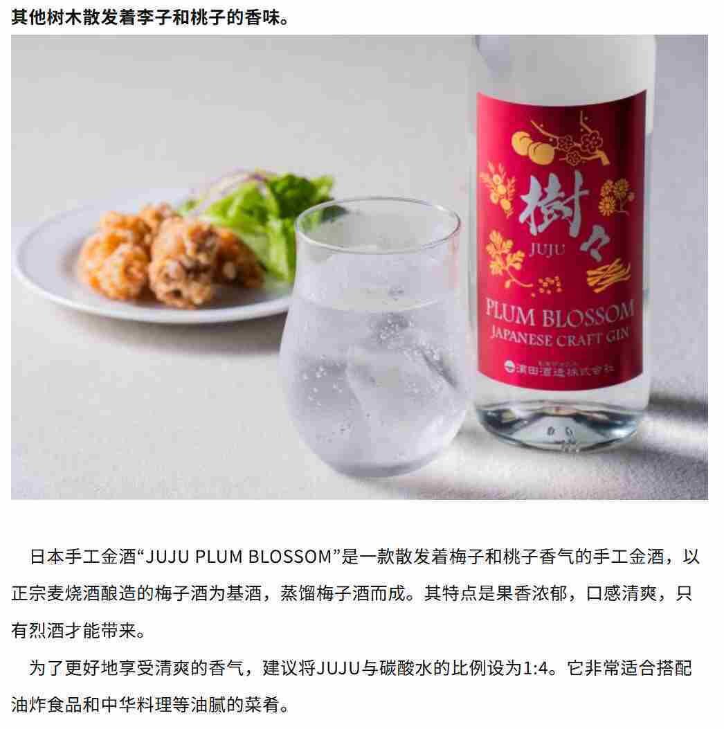 🌸 果香四溢 | JUJU/树树梅子金酒 杜松子酒 🍸-清酒-淘宝好物网