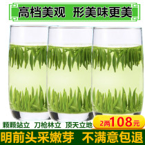 2021 New Tea Hubei Macheng Tea Mingqian Tea Guishan Rock Green Cloud Bud Tip Green Tea Bulk 100g