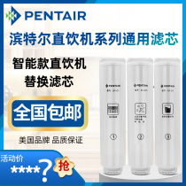 Pentair direct drinking machine filter element S2000-a dual water outlet V3000a v7000a water purifier original filter element