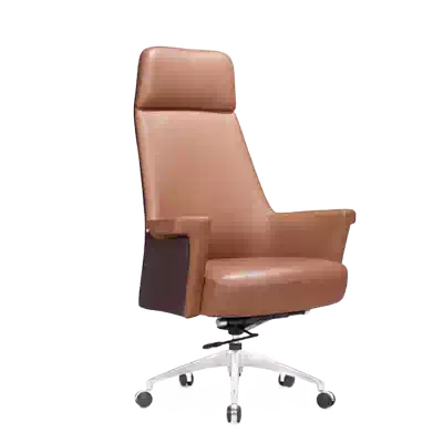 Computer chair Office chair Latex backrest Student learning chair Bow-shaped simple household single comfortable swivel chair