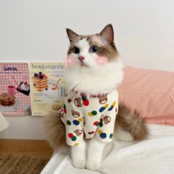 Spring and Autumn Pet Clothes for Dogs and Cats, Cute Anti-Shedding Clothing for Small Dogs Like Bichon Frise, British Shorthair, Ragdoll, Summer Base Shirt