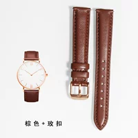 Brown-Rose Bugle Bugle