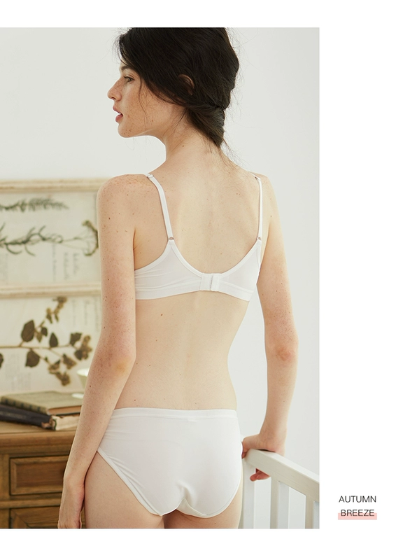 Hạm đội cô gái FREELASS Đồ lót Pháp bralette không có vòng thép đồ lót trắng Lycra bra set - Bộ đồ lót