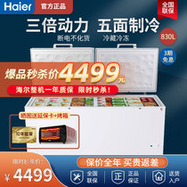 Haier BC BD-830HCZ freezer 830 liters commercial large capacity freezer horizontal single temperature