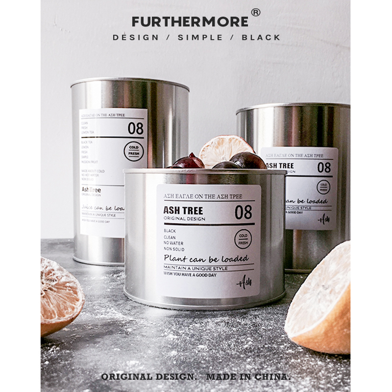 ins cactus meat - multi - meat pot pot pot pot pot desktop pencil debris collection cans and jars of iron - mouth pen