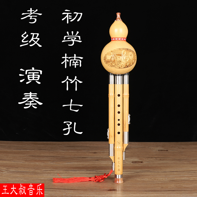 Wang Dazhu Nanzhu Sanyin Hulusi special musical instrument elementary school students c tune adult B tune FG introductory self-study
