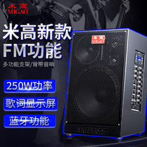 Michael new MG1266A band performance rehearsal electric guitar it accompaniment sound stray singer selling Speaker