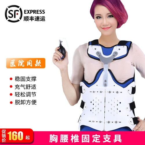 Грудное поясничное позвоночное разветвление