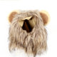 Cat Lion Head Cover Cat Hat Cute Funny Pet Photo Props Puppy Dress Up Clothing Decoration