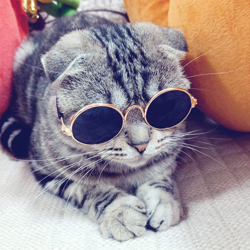 Pet cat glasses cat sunglasses retro cool cat funny take props cat with personality jewelry puppy