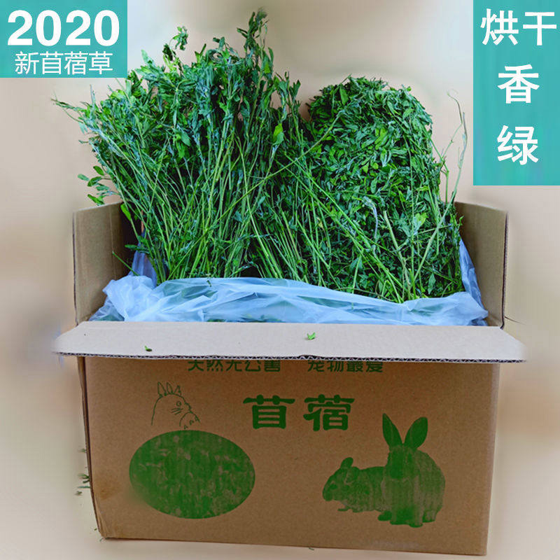 Alfalfa Rabbit grass Rabbit food Rabbit hay Chinchilla eats forage feed Guinea pig Dutch pig food