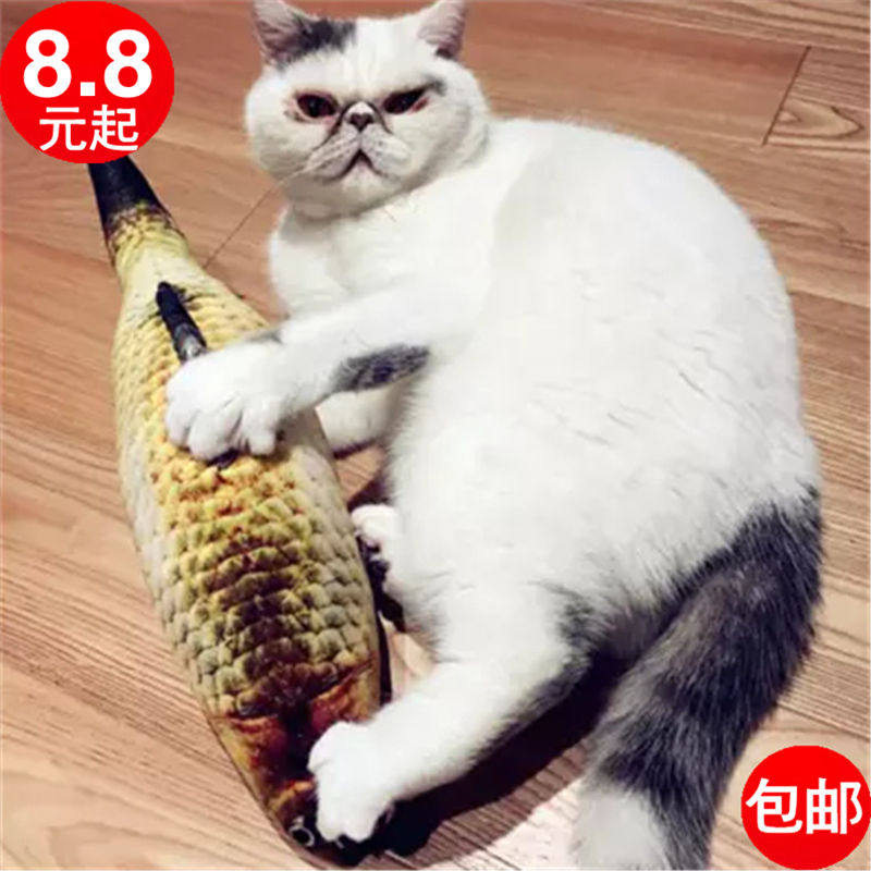 Plush Cat Toy Fish Tease Cat Emulation Cat Bite Mint Fish Hold Pillownet Red Fake Fish Pillow Pet Little Kitty Supplies