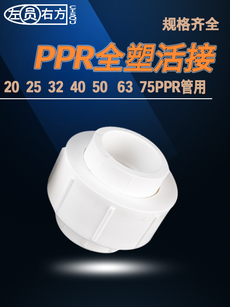20 Double head PPR hot melt live connection all-plastic joint Household engineering water pipe fittings 25 32 40 50 63 75