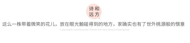 Mô phỏng cây nho hoa giả sưởi ấm điều hòa không khí khối trong nhà mây trang trí hoa nho nhựa hoa uốn lượn hoa nhân tạo - Hoa nhân tạo / Cây / Trái cây