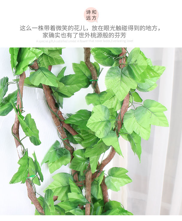 Mô phỏng cây nho lá xanh giả cây nho tắc lá trang trí nội thất nhựa cây nho lá xanh giả hoa trần - Hoa nhân tạo / Cây / Trái cây bình hoa giả để phòng khách