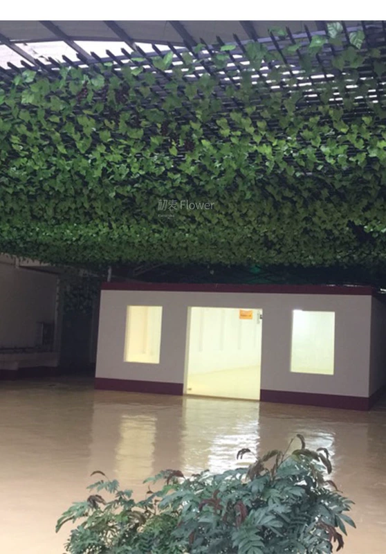 Mô phỏng cây nho lá xanh giả cây nho tắc lá trang trí nội thất nhựa cây nho lá xanh giả hoa trần - Hoa nhân tạo / Cây / Trái cây cây đào giả