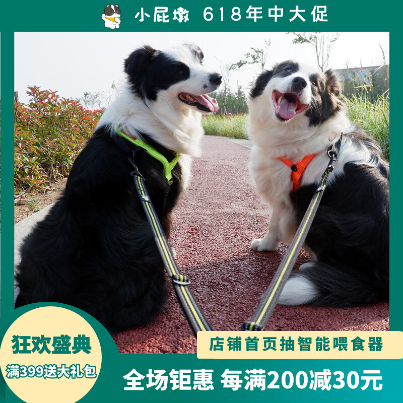 Truelove Two-Head Traction Dog Rope One Drag Two Two Dogs in Large Dogs Traction Rope Walk Two Dogs