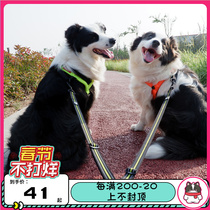 Truelove double-headed dog rope one drag two two dogs medium and large dog drag rope walk two dogs v chain