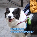 Канада для защиты капсулы для собак с нормированием на земле, выбирающие дерьмовые артефакты домашних животных и мешки для мусора