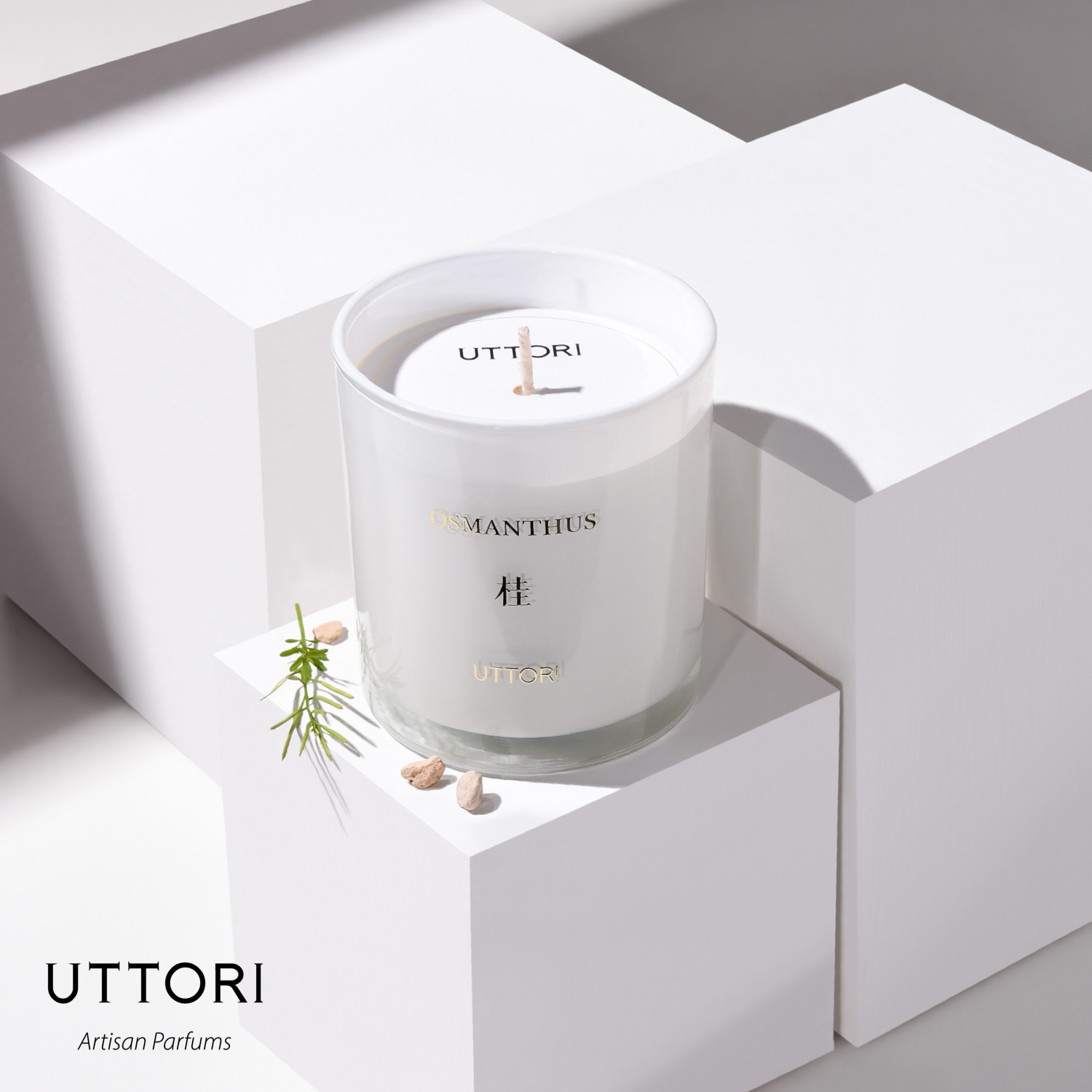 UTTORI Five DUOLI CINNAMON SCENTED CANDLE SMOKE-free SOY WAX Osmanthus NICHE