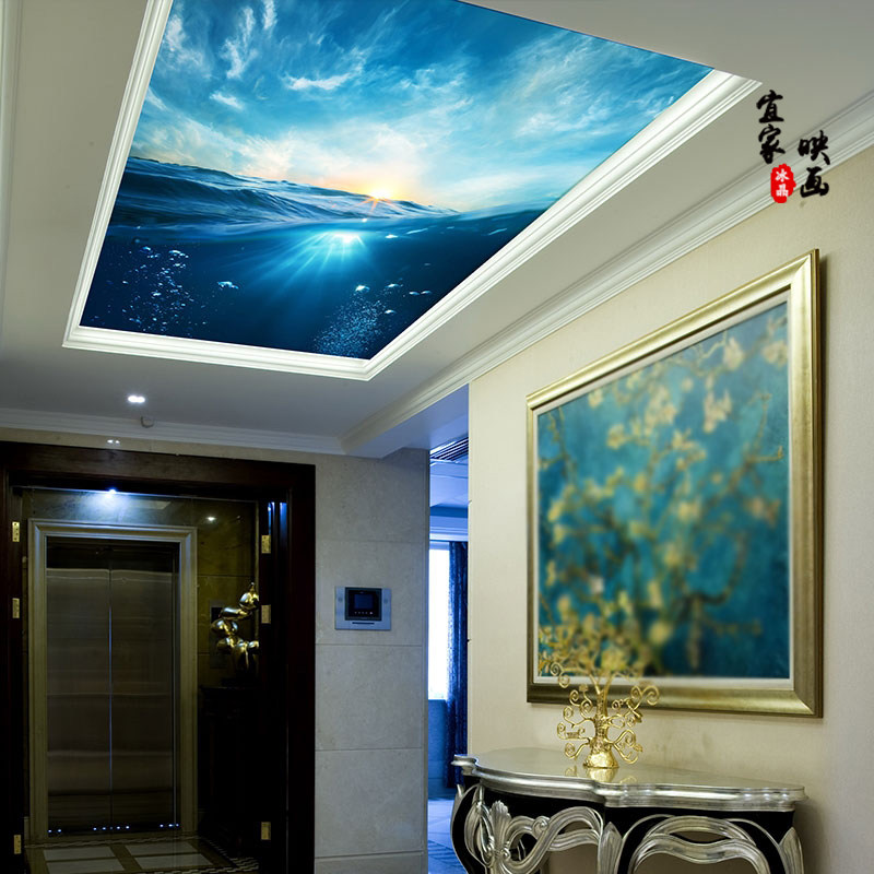 Acrylic sparkling star-studded sky art glass ceiling ceiling smallpox SMALLPOX CEILING LIGHT TRANSMISSION ACRYLIC PLATE 