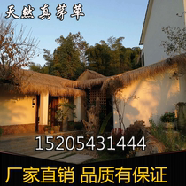 Fine natural original ecology thickened thatch hand-woven natural thatch tile real thatched roof grass Pavilion