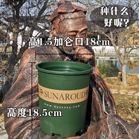 Гао Крюн № 1.5 Нет доверия