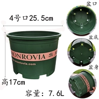 Dwarn Curon № 4 нет доверия