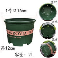 Dwarn Curon № 1 нет доверия