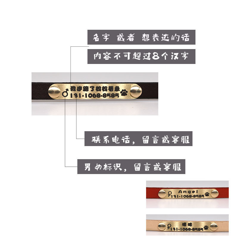 Cat name tag Laser lettering dog tag Pet anti-lost collar all-in-one cat and dog ID tag